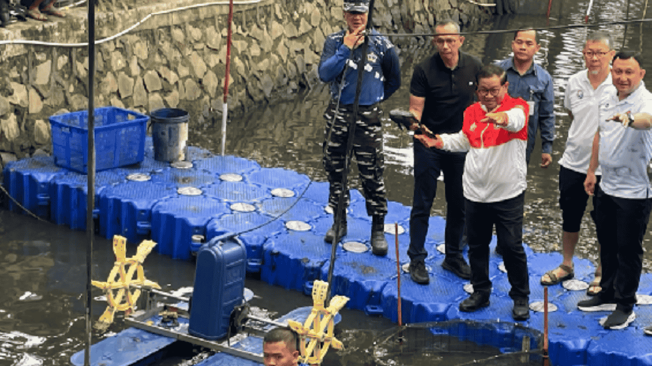 Operasi Besar Dimulai! Jakarta Sapu Ratusan Kilo Ikan Sapu-Sapu, Ekosistem Terancam Serius