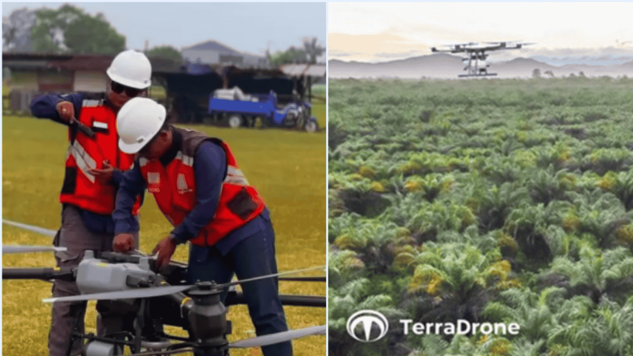 Jejak Panjang Terra Drone di Balik Tragedi Kebakaran Maut dan Pemetaan Sawit Sumatra