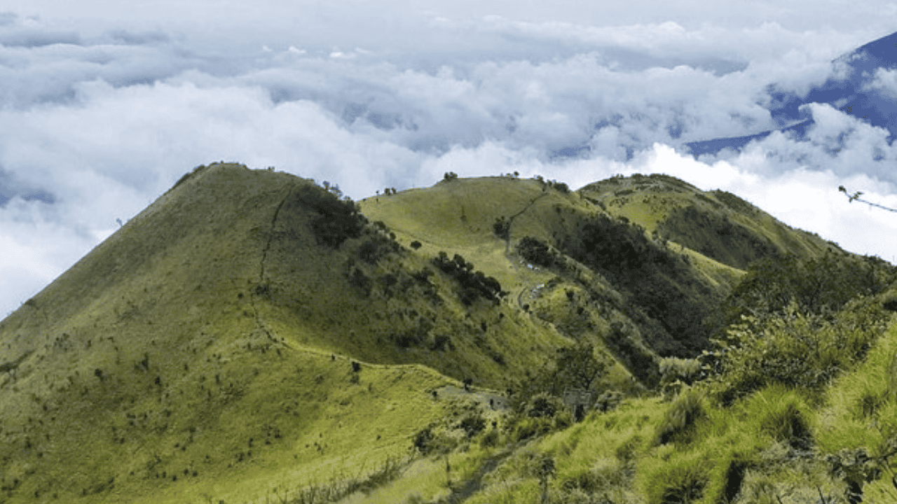 Tragedi Petir di Merbabu Bikin Jalur Ditutup 2 Bulan: Mulai 1 Januari, Pendaki Diminta Tunda Rencana hingga Februari
