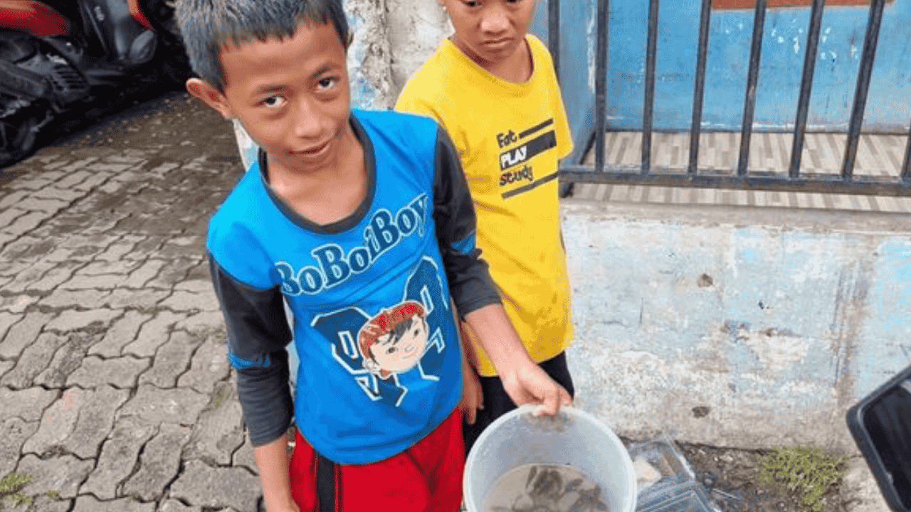 Banjir Pegangsaan Dua Jakut Jadi “Kolam Dadakan”, Bocah-bocah Jaring Ikan Mujair: “Buat Digoreng Nanti”