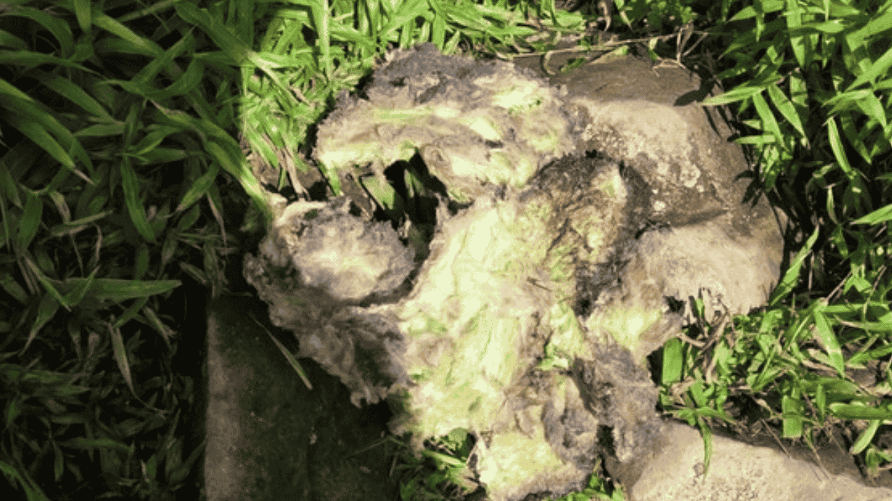 Badan–Ekor ATR 42-500 Ditemukan di Lereng Bulusaraung, Basarnas Fokus Cari Korban di Medan Karst Sulsel