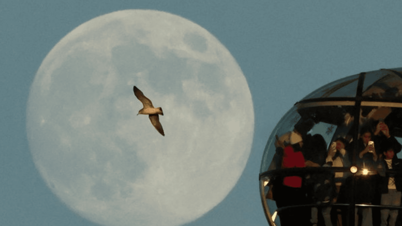 Fenomena Langka Mei 2026! Dua Bulan Purnama Sekaligus Hiasi Langit, Blue Moon Muncul Akhir Bulan