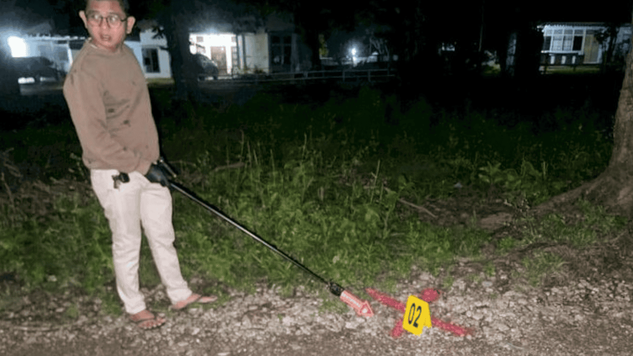 Viral Tembak Burung Hantu sampai Mati, Wanita di Belu NTT Ditangkap Polisi