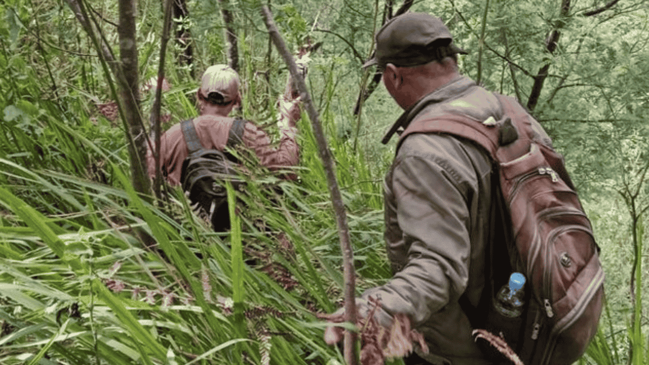 Hilang Hampir Sebulan, Pendaki Bukit Mongkrang Akhirnya Ditemukan Tak Bernyawa di Aliran Sungai