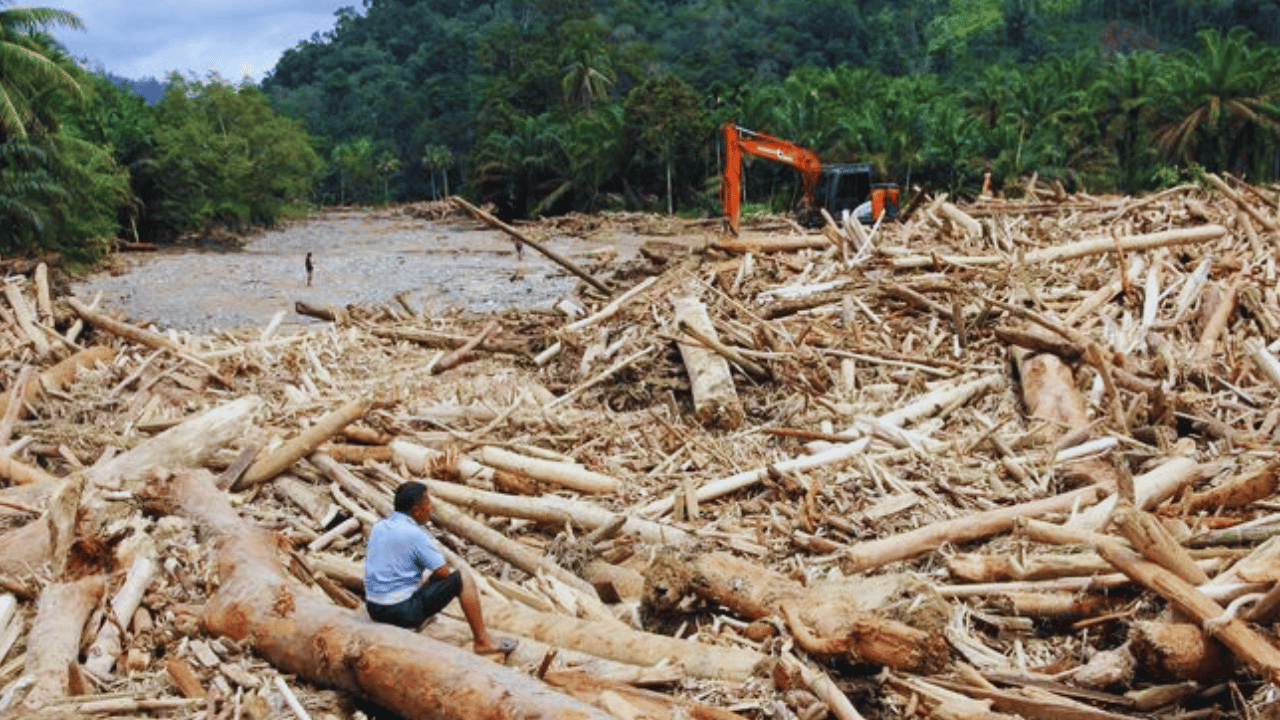 Banjir Sumatra Bukan Sekadar Cuaca Ekstrem, Ada Jejak Ulah Manusia di Baliknya