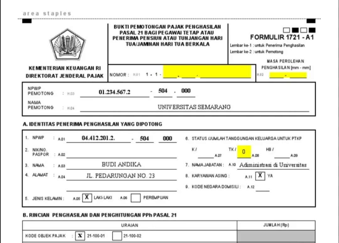 NIK 999 di Coretax Bikin A1 Tidak Muncul? Begini Penjelasan dan Solusinya