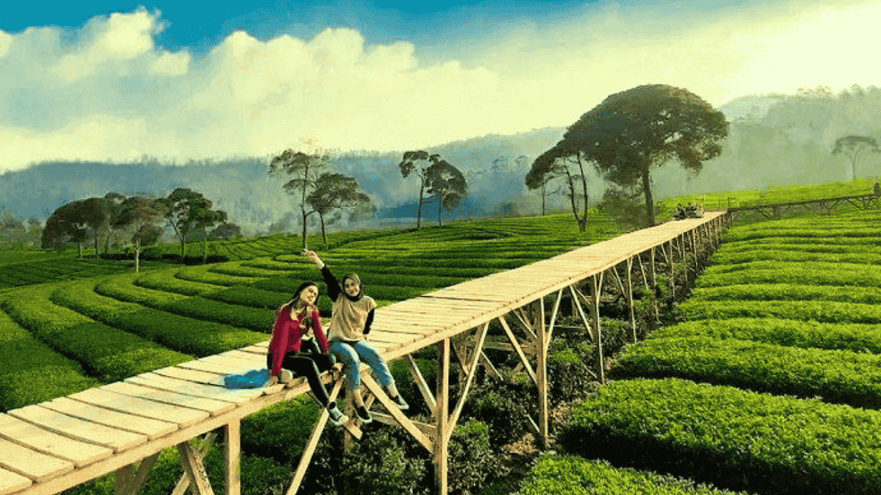 10 Spot Wisata Tersembunyi Tapi Indah di Puncak Bogor