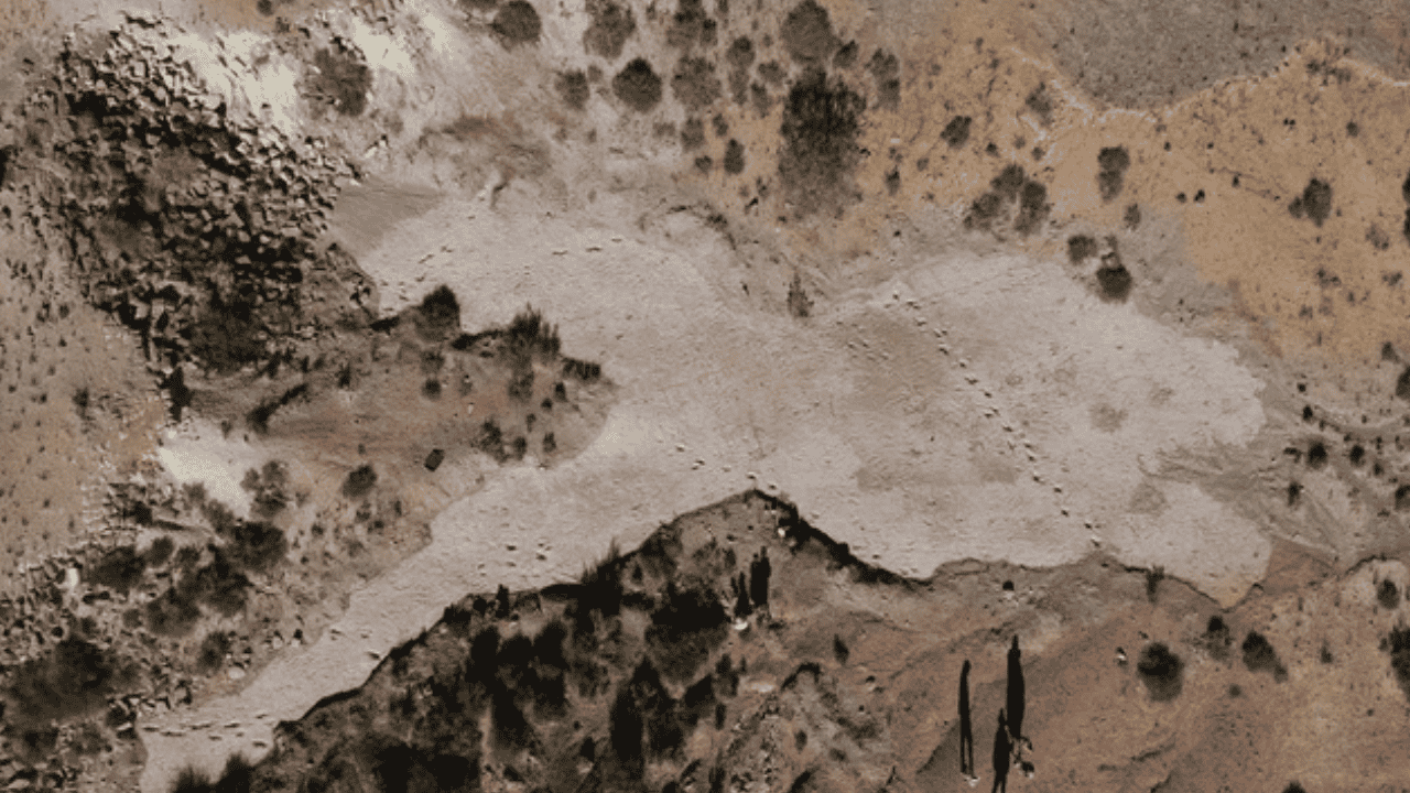 Ilmuwan Temukan ‘Jalan Tol’ 16 Ribu Jejak Kaki Dinosaurus di Bolivia